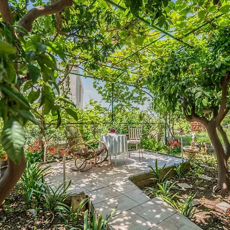 Amalia Podgora (Split-Dalmatia)