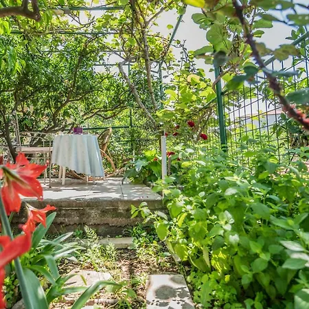 Amalia Apartment Podgora